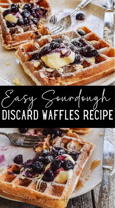 A sourdough discard waffles recipe to make crispy waffles with a light and fluffy interior. These sourdough waffles are absolutely delicious. You can make the main batter ahead of time and enjoy a scrumptious weekend breakfast the next day. This recipe is a good use for sourdough starter discard. Discard Breakfast Recipes, Sourdough Discard Waffles, Discard Waffles, Sourdough Waffle Recipe, Breakfast Waffle Recipes, Sourdough Waffles, Crispy Waffles, Sourdough Starter Discard, Recipe Using Sourdough Starter