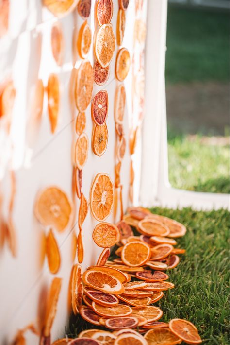 Dried Orange Backdrop, Sunset Spritz Party, Aperol Spritz Bridal Shower Theme Backdrop, Citrus Photo Backdrop, Citrus Garden Party, Citrus Bridal Shower Backdrop, Citrus And Sunset Bridal Shower Theme, Aperol Spritz Bridal Shower Theme Decor, Citrus Birthday Party Theme