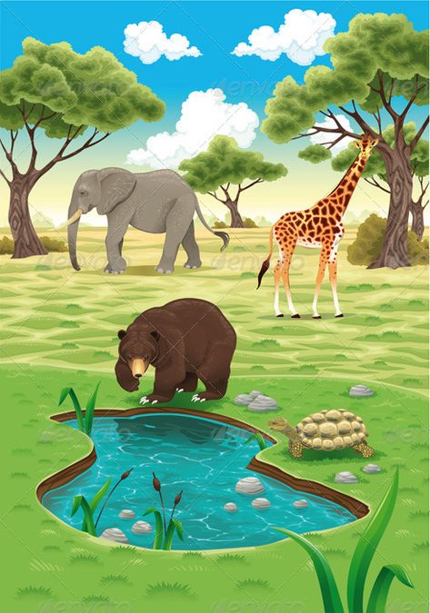 Animals in the nature. Habitat Illustration, Turtle Vector, Jungle Landscape, Pond Pool, Cnidaria, Realistic Illustration, Jungle Illustration, Sky Tree, Cartoon Background