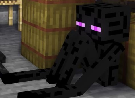 Minecraft, Black