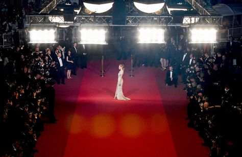 Netflix Red Carpet, Red Carpet Astethic, Hollywood Red Carpet Aesthetic, Celebrity Manifestation, Red Carpet Aesthetic, Famous Lifestyle, Oscars Red Carpet, Hollywood Red Carpet, Camera Flashes