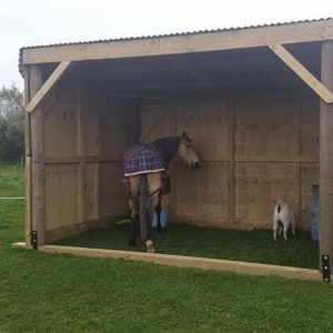 Horse Shelters Diy, Diy Shelter For Horses, Horse Shelter Plans, Moveable Horse Shelter, Portable Horse Shelter, Diy Horse Shelter, Run In Shed Plans, Diy Horse Shelter Run In Shed, Horse Shelter On Skids