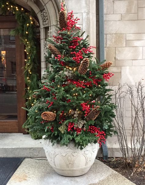 Christmas Planters Outside Front Porches With Lights, Potted Christmas Tree Outdoor, Christmas Trees In Planters, Christmas Flower Pots Outdoor, Christmas Tree In Planter, Porch Christmas Tree, Winter Pots, Winter Planters, Diy Outside Christmas Decor