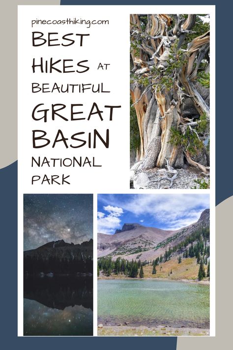 best hikes at great basin, great basin national park hiking, best trails at great basin national park, best trails at great basin, hiking at great basin, best trails in nevada, best hikes in nevada, Teresa Lake Trail great basin, Stella Lake Trail great basin, Wheeler Peak Trail great basin national park, Bristlecone Pine Glacier Trail great basin Bristlecone Pine Tree, National Park Itinerary, Bristlecone Pine, Great Basin National Park, Ancient Trees, Great Basin, Alpine Meadow, Ancient Tree, Alpine Lake