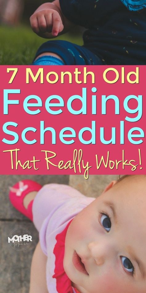 7 Month Old Feeding Schedule, 7 Month Old Schedule, 4 Month Old Schedule, 7 Month Old Baby Food, Awake Times For Babies, Newborn Baby Hacks, Baby Food Schedule, 7 Month Baby, 7 Month Old Baby