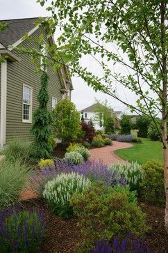 Weeping White Spruce, Landscape Makeover, White Spruce, Columnar Trees, Planting Ideas, Foundation Planting, Easy Landscaping, Evergreen Plants, Traditional Landscape