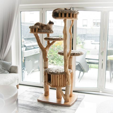 Cat Tower Plans, Custom Cat Trees, Cat Tree Designs, Cat Furniture Design, Wooden Cat Tree, Katt Grejer, Cat Climber, Cat Climbing Tree, Cat Tree House