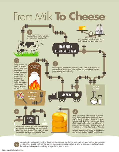 How Cheese is Made Cheese Poster, Liquid Cheese, English Activity, Mother Dairy, Starter Cultures, Process Chart, Making Mac And Cheese, Infographic Poster, White Cheese