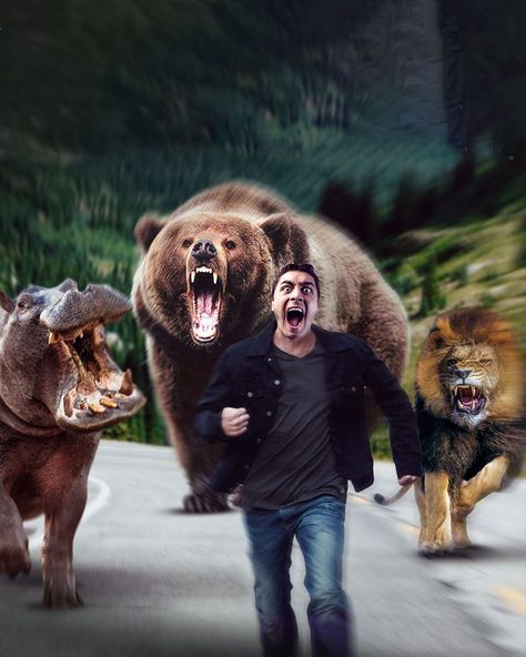 Top 10 Most Vicious Animal Attacks and How to Survive Them | How could your pet be as dangerous as a wild animal? | By What If Wild Animals Attack, Most Dangerous Animals, 10 Animals, Bear Attack, Animal Attack, Backdrop Photo, Dangerous Animals, Funny Tattoos, How To Survive