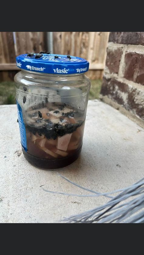 Homemade Fly Catcher Fly Catcher Diy, Homemade Fly Traps, Diy Fly Trap, Bug Trap, Juice Jar, Fly Catcher, Milk Jar, Fly Repellant, Fly Trap