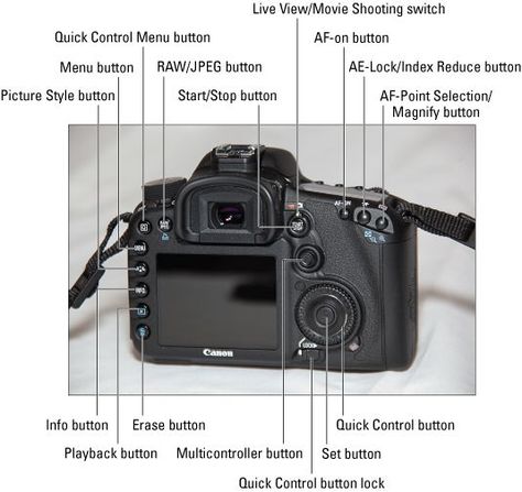 Canon EOS 7D For Dummies Cheat Sheet - For Dummies Canon 6d Mark Ii Cheat Sheet, Beginner Photography Camera, Camera For Youtube, Cannon Camera, Manual Photography, Canon 70d, Camera Tips, Canon 6d, Canon Digital Camera