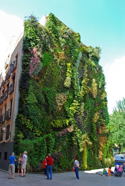 Vertical Garden on the exterior wall of CaixaForum, a museum in Madrid, Spain--this is near the train station we'll be arriving at. Muharraq Bahrain, Street Art Utopia, Green Gate, Amazing Street Art, Wall Garden, Green Roof, Land Art, Madrid Spain, Bahrain