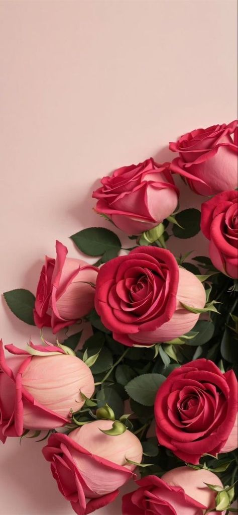 Flowers Photography Wallpaper, Floral Wallpaper Phone, Simple Iphone Wallpaper, Flower Iphone Wallpaper, Nothing But Flowers, Cute Flower Wallpapers, Flower Therapy, Beautiful Bouquet Of Flowers, Luxury Flowers