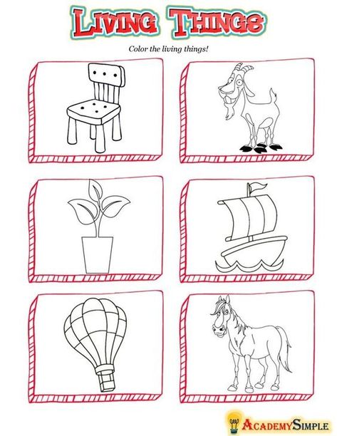 Living Things Worksheet Kindergarten, Non Living Things Drawing, Science Living Things, Non Living Things, Land Forms, Characteristics Of Living Things, Living And Nonliving, Kindergarten Phonics, Kindergarten Phonics Worksheets