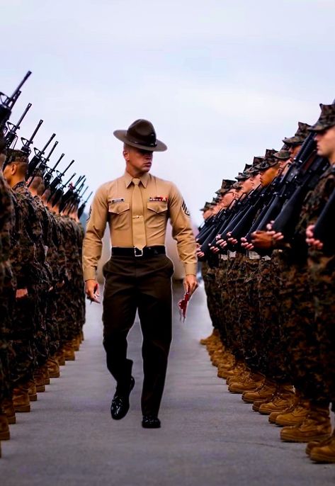 Army Tags, Drill Instructor, Bare Knuckle, Uk Photos, Military Photos, United States Marine, United States Marine Corps, Military Heroes, Us Marine