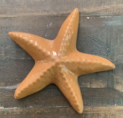 Ceramic Rattle Ideas, Paper Mache Starfish, Starfish Ceramics, Ceramic Sea Creatures, Stingray Ceramic, Starfish Pottery, Clay Starfish, Starfish Sculpture, Ceramic Starfish