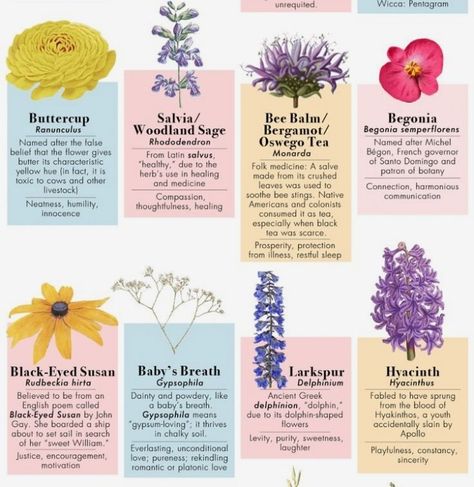 Symbolism Flowers, Plant Magic, Witch Garden, Flower Meanings, Dark Flowers, Nothing But Flowers, Flower Essences, Flower Names, Language Of Flowers