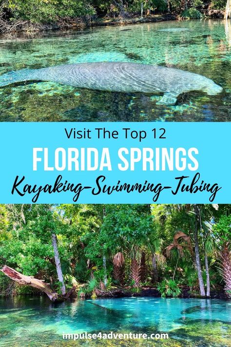 Three Sisters Springs Florida, Ginnie Springs Florida, Dunnellon Florida, Springs In Florida, Ginnie Springs, Blue Springs State Park, Ocala National Forest, Rainbow River, Rainbow Springs