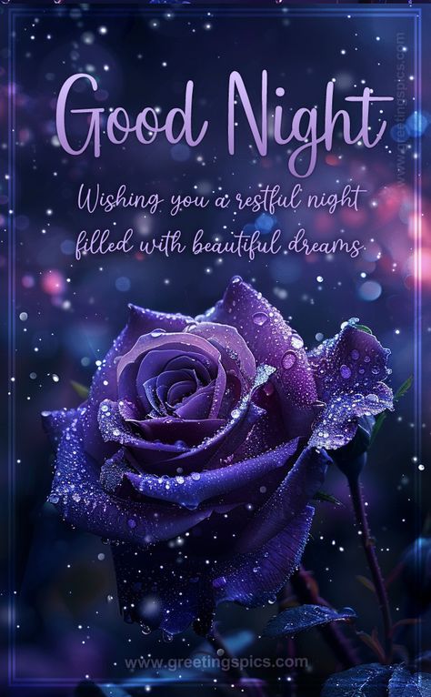 Good Night Wishes Image with beautiful purple rose Beautiful Good Night Images With Quotes, Inspirational Good Night Messages, Goodnight Beautiful, Good Night Babe, Beautiful Good Night Messages, Goodnight Images, Good Night Blessings Quotes, Sweet Dreams Images, Good Night Quotes Images