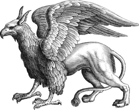 Ancient Persia, Mythical Animal, Mythical Beast, An Eagle, Mythical Creatures Art, Art Plastique, Creature Art, Ancient Art, Mythical Creatures