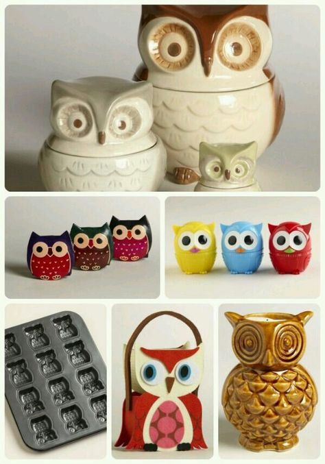 Lots of owls Owl Kitchen Decor, Owl Accessories, Ashley Walters, Owl Cookie Jar, Owl Kitchen, Owl Figurines, Awesome Owls, Owl Cookies, Grey Owl