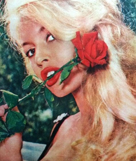 gatabella:  “ “Bardot’s beauty was shocking. Even with no make-up her eyes really were that beautiful and her mouth really was that big. I think people hated her because she was so beautiful.”  - Jane Birkin  ” Iranian Magazine Cover, Rose In Mouth, No Make Up, Bridgette Bardot, Aphrodite Goddess, Bridget Bardot, Iranian Fashion, Iranian Women, Classic Actresses