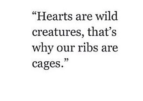 Hearts are wild creatures: that's why our ribs are Cages! Love this! Our Hearts Are Wild Creatures Ribs, Hearts Are Wild Creatures Quote, Hearts Are Wild Creatures, Matt Nathanson, Eat My, Wild Creatures, Drive Me Crazy, Quotes To Live By, Love This