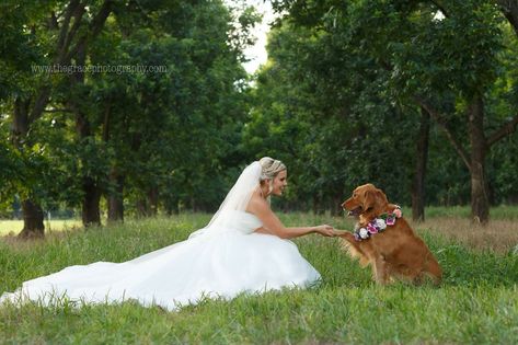 Moodboard Wedding, Country Bride, Bridal Pictures, Wedding Pets, Veil Hairstyles, Shabby Chic Wedding, Dog Wedding, Wedding Picture, Pet Hacks