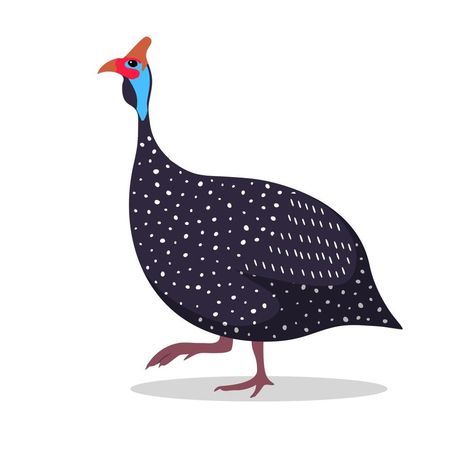 Fowl Illustration, Chicken Leg Illustration, Animal Flat Illustration, Yoga Chicken Illustration, Guinea Fowl Art, Chicken Store, Hen Illustration Chicken Art, Guinea Fowl, Flat Illustration