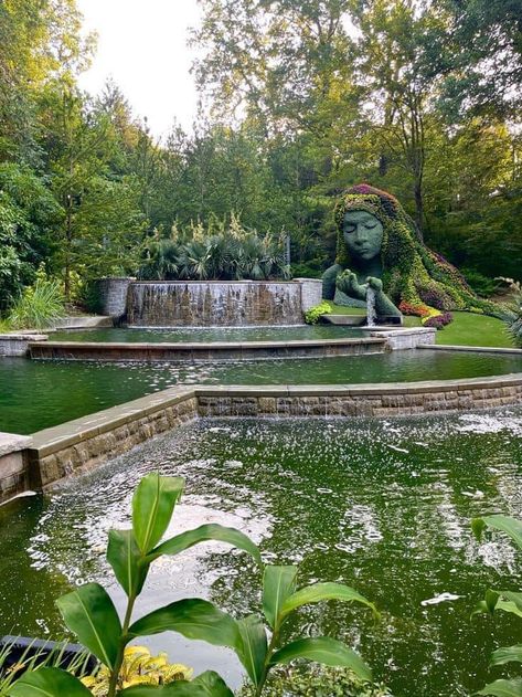 If you never been to Atlanta Botanical Garden add it to your list now 🌱🌺 Botanical Garden Atlanta, Botanical Garden Date, Flowers Aesthetic Green, Botanical Gardens Atlanta, Atlanta Georgia Aesthetic, Garden Flowers Aesthetic, Botanical Garden Aesthetic, Mini Dates, Atlanta Botanical Gardens Wedding