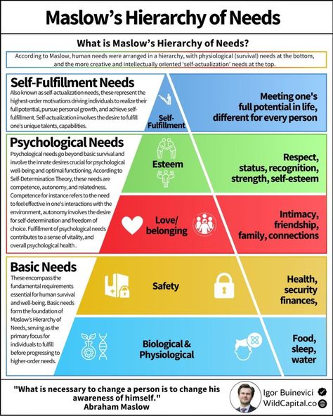 Business Infographics on LinkedIn: Maslow’s Hierarchy Of Needs

Credits to Igor Buinevici, follow him for… | 11 comments Maslow’s Hierarchy Of Needs, Medical Assistant Student, Personal Development Activities, Hierarchy Of Needs, Maslow's Hierarchy Of Needs, Business Infographics, Jean Piaget, Abraham Maslow, Self Actualization