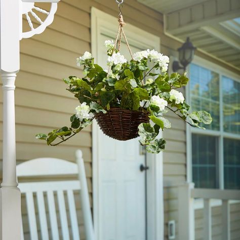 The Faux White Geranium Hanging Plant from Nature Spring will add a splash of color to your home with its vibrant flowers bursting out of the beautiful wicker basket. Certain to brighten up any indoor or covered outdoor space, this 21-inch diameter faux flowering plant has plenty of polyester petals and green leaves with life-like detail that offers depth and texture to almost any style decor. The pre-attached jute ropes makes it simple to hang this artificial hanging basket along the pillars of Basket Flowers, Geranium Plant, Pink Geranium, Geranium Flower, Artificial Floral Arrangements, Faux Hydrangea, Faux Floral Arrangement, Faux Flower Arrangements, Flower Lights