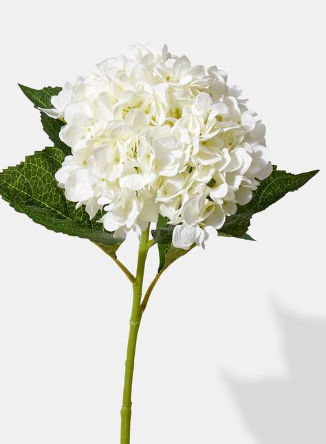 White Hydrangea Wedding, Hydrangea Bouquet Wedding, Peony Bouquet Wedding, Hydrangea Arrangements, Christmas Decorations Garland, Hydrangeas Wedding, Silk Hydrangeas, Peony Wedding, White Wedding Flowers