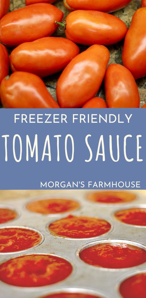 Freezer Tomato Sauce From Fresh Tomatoes, Freezing Tomato Sauce, Freezer Tomato Sauce, Freezer Spaghetti Sauce, Fresh Tomato Sauce Recipe, Canning Tomatoes Recipes, Freezing Tomatoes, Homemade Spaghetti Sauce Recipe, Canning Vegetables