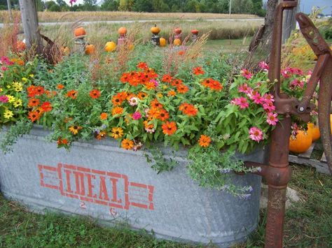 Garden Ideas, Grass, Washtub Planter, Water Trough Planter, Old Water Pump Ideas, Old Water Trough Ideas, Stencil, Water Pumps, Garden Trough Ideas Garden Troughs, Trough Planter, Garden Companion Planting, Water Trough, Trough Planters, Garden Junk, Garden Containers, Container Flowers, Country Gardening