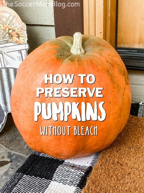 Want your pretty pumpkins and gourds to last all season long? With this simple trick they can stay good for 1-3 months! We'll show you a quick and easy way to preserve decorative pumpkins...and it doesn't require toxic bleach so it's wildlife friendly! How To Preserve Pumpkins, Preserve Carved Pumpkin, Preserve Pumpkins, Pumpkins Decorations, Preserving Pumpkins, Real Pumpkins, Decorative Pumpkins, Pumpkin Vase, Porch Pumpkins