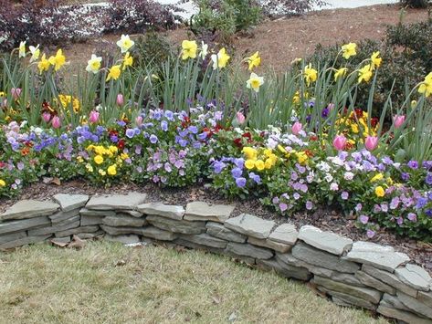 1000+ images about Landscaping on Pinterest | Raised beds, Veggie ... Natural Fencing, Rock Borders, Grass Planting, Tree Corner, Garden Border Ideas, Rock Wall Gardens, Stone Flower Beds, Stone Walls Garden, Flower Bed Borders