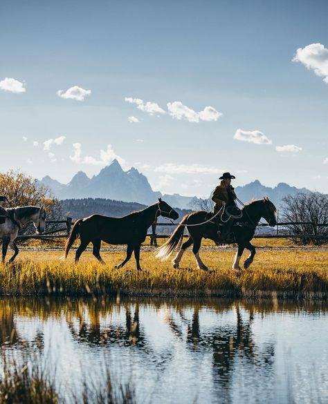 DIAMOND CROSS RANCH | Come ride with us 🏔️ Diamond Cross Ranch Jackson Hole, WY since 1912 To book a stay on the ranch or a horseback ride at the ranch visit … | Instagram Ranch In Wyoming, Diamond Cross Ranch, Montana Dude Ranch, Horses In Montana, Jackson Hole Wyoming Horseback Riding, Texas Ranch, Dude Ranch, Ranch Life, Diamond Cross