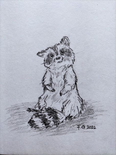 Original art : CritterPark Drawings On Homework, Raccoon Painting Easy, Realism Art Pencil Sketches, Cute Raccoon Drawing Simple, Raccoon Drawing Reference, Animal Drawings Colored Pencil, Black Bear Sketch, Animal Drawings Sketches Pencil, Cute Little Animals Drawings