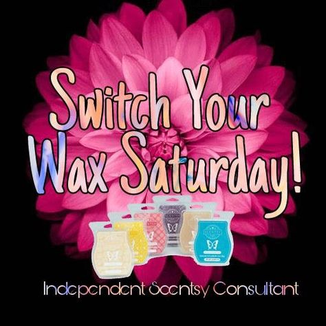 Scentsy Saturday Posts, Scentsy Saturday, Scentsy Sample Ideas, Scentsy Pictures, Scentsy Recipes, Scentsy Oils, Scentsy Marketing, Selling Scentsy, Scentsy Consultant Ideas