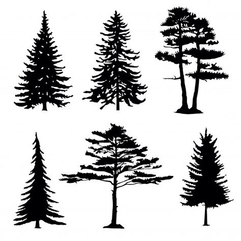 Coniferous trees silhouettes, collection | Premium Vector #Freepik #vector #infographic #christmas #tree #wood Pyrography Trees, Silhouette Arte, Tree Silhouette Tattoo, Coniferous Trees, Silhouette Drawing, Silhouette Tattoos, Conifer Trees, Vector Trees, Wood Burning Patterns