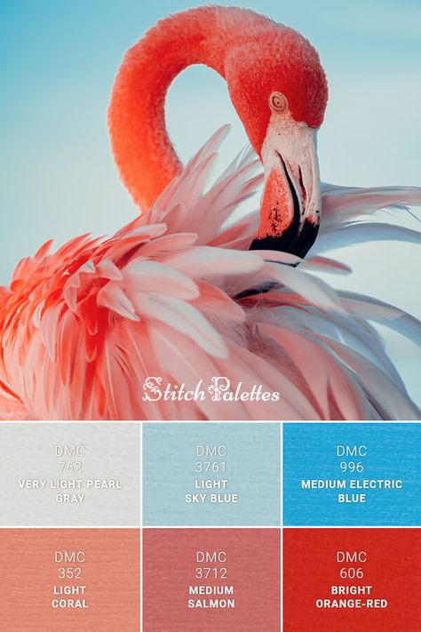 Blue Salmon Color Palette, Flamingo Colour Palette, Coral Red Color Palette, Flamingo Color Palette, Mosaic Branding, Law Presentation, Sky Blue Color Palette, Stitch Palettes, Coral Colour Palette