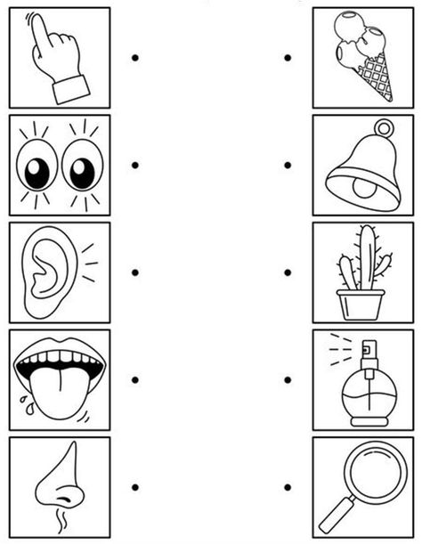 5 Senses Worksheet Preschool, Body Activities For Toddlers, My 5 Senses Preschool Activities, Senses Activities Preschool, 5 Senses Worksheet, 5 Senses Activities, Body Preschool, Emotions Preschool, Senses Preschool