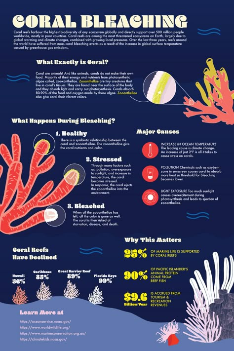 Coral Reef Bleaching, Biology Poster, Scientific Poster, Beach Clean Up, Coral Bleaching, Marine Pollution, Infographic Design Layout, Graphic Design Infographic, Infographic Poster