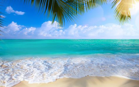 Beach, sea, shore, white salts #summer #beach #Sea #shore #paradise #tropical #sand #palms palm trees #2K #wallpaper #hdwallpaper #desktop Lenovo Wallpapers, Summer Beach Wallpaper, Ocean And Beach, Beautiful Summer Wallpaper, Wallpaper Summer, Beach Background, Tropical Beaches, Summer Backgrounds, Beach Wallpaper