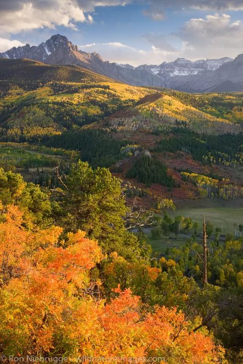 Divide Colorado, San Juan Mountains Colorado, Travel Colorado, Mountains Colorado, Durango Colorado, San Juan Mountains, Colorado Vacation, Autumn Foliage, Colorado Usa