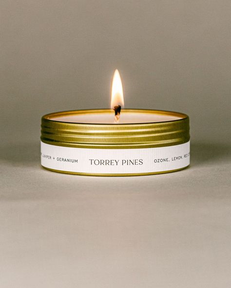 Minimal ecommerce product photography for handmade San Diego candles on a warm gray backdrop for a cozy feeling. Candle Merchandising, Candle Backdrop, Gray Backdrop, Beach Scent, Christmas Tree Scent, Candles Photography, Secret Place, Torrey Pines, Travel Candles