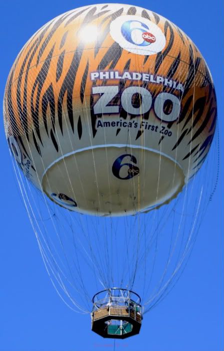 Philadelphia zoo balloon Party Image, Zoo Birthday Party, Philly Style, Birthday Party Images, Philadelphia Zoo, South Philly, Zoo Birthday, Air Balloon Rides, 65th Birthday