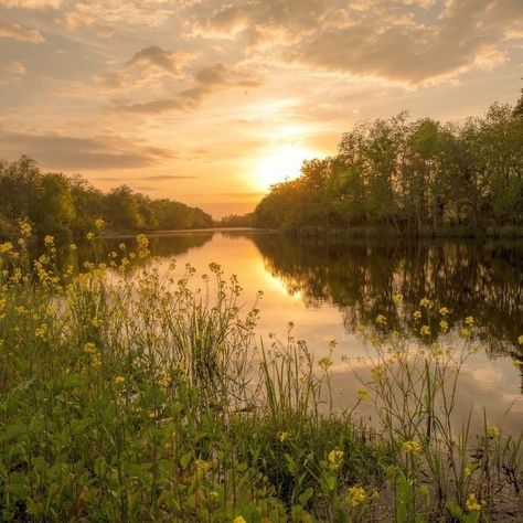 Golden Meadow Aesthetic, Meadow With River, Sunset Meadow Aesthetic, Sunset River Aesthetic, Photo Ideas Landscape, Nature Places Aesthetic, River Landscape Photography, Cajun Aesthetic, Pics Of Sunsets