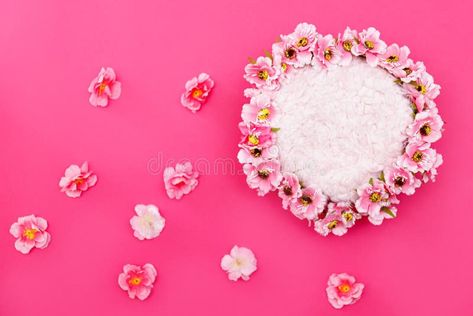 Colorful digital floral background for newborn photography royalty free stock images Flower Header, Baby Photography Backdrop, Pink Peonies Bouquet, Newborn Flower, White Cherry Blossom, Pink Carnations, Carnation Flower, Cherry Blossom Flowers, Peonies Bouquet